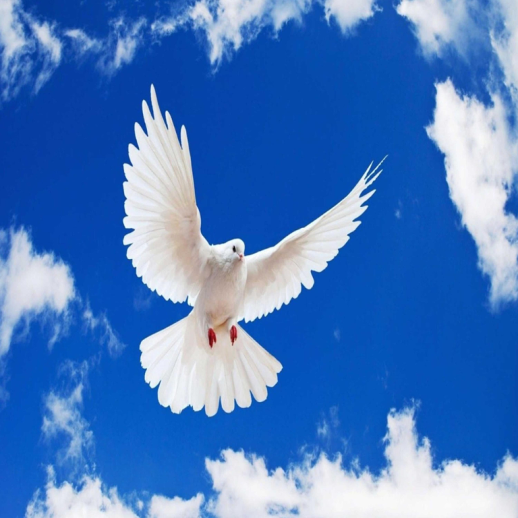Синее небо без войны. Мирное небо. Мирного неба всем. Мирного неба над головой.
