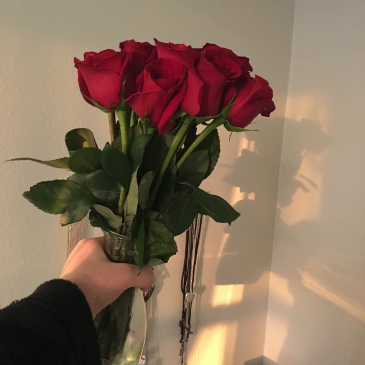 Розовые розы букет селфи