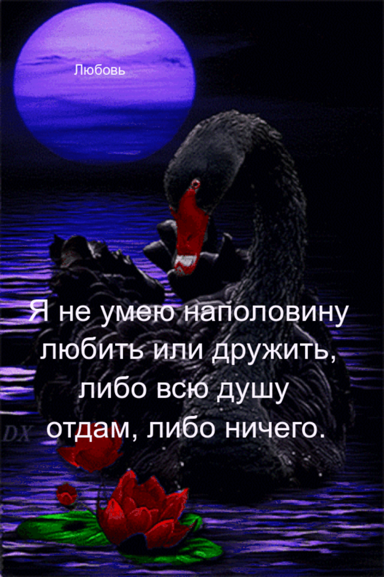 Красивые гифки на разные темы