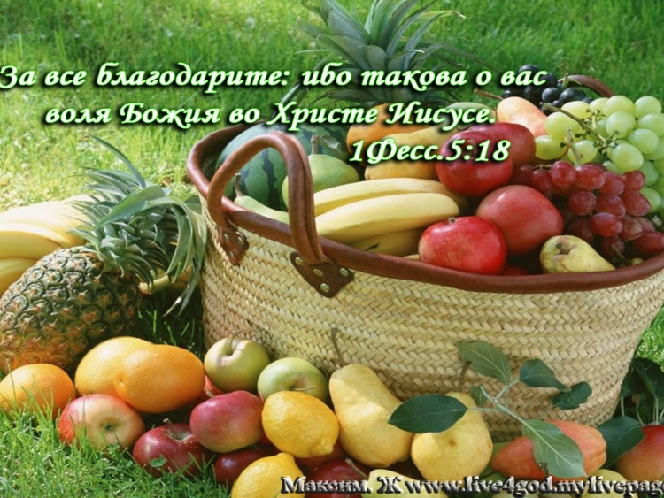 Открытки въезд Иисуса в Иерусалим христианские