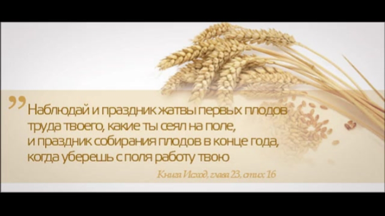 Праздник жатвы открытки