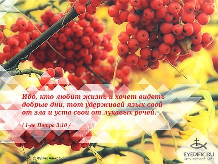 Наблюдай праздник жатвы