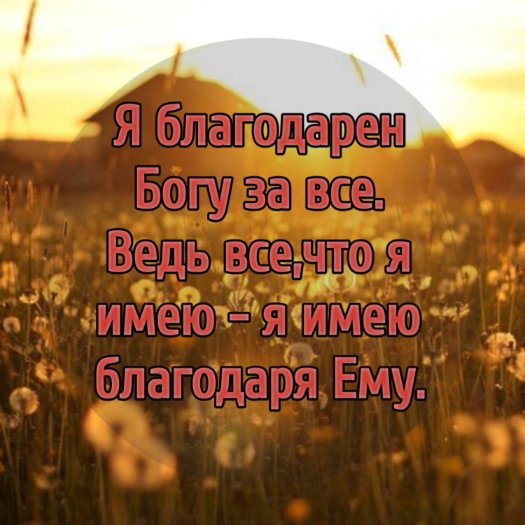 Бог поругаем не бывает что посеет человек то и пожнет