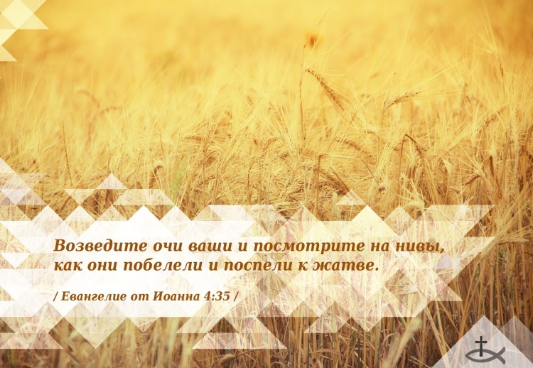 Что посеет человек то и пожнет Библия