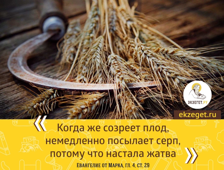 Рог изобилия с фруктами