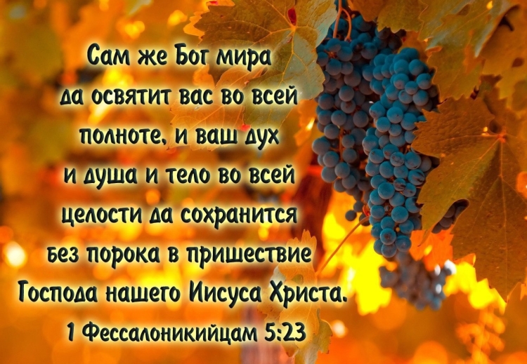 Открытки на каждый день