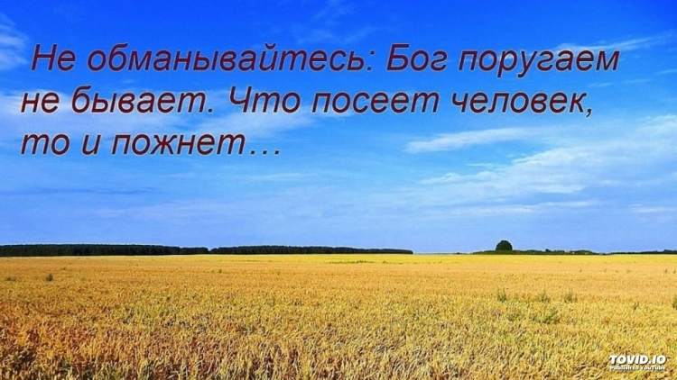 Праздник жатвы день Благодарения