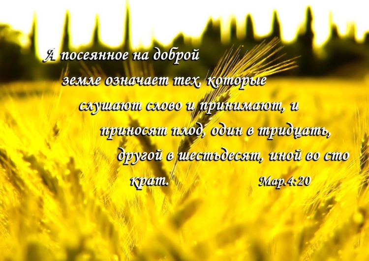 Жатва христианский праздник