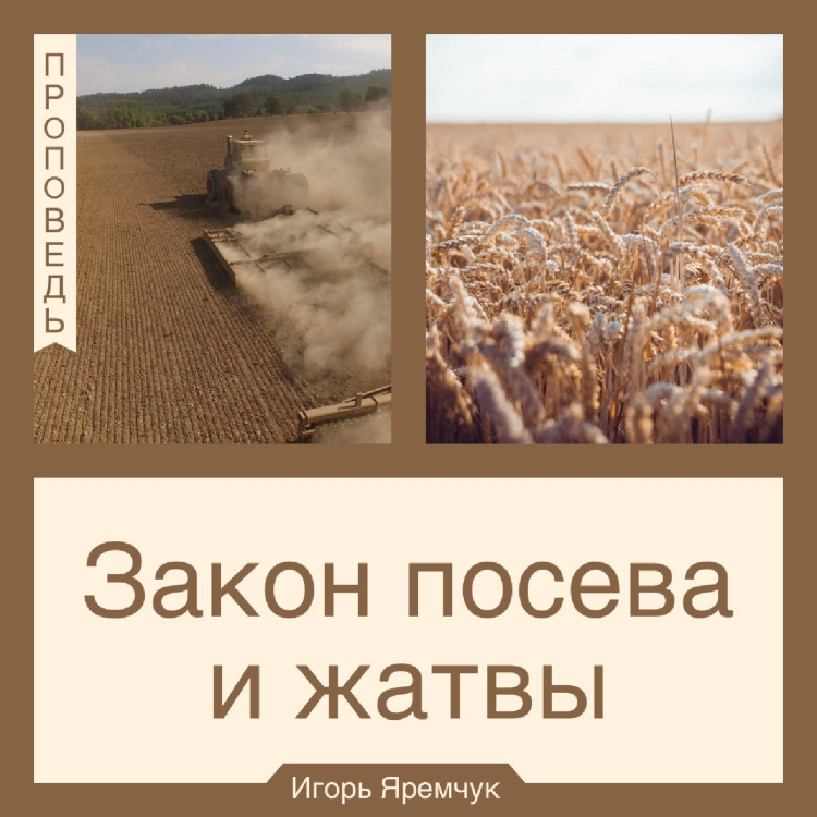 Открытки с Цитатами из Библии
