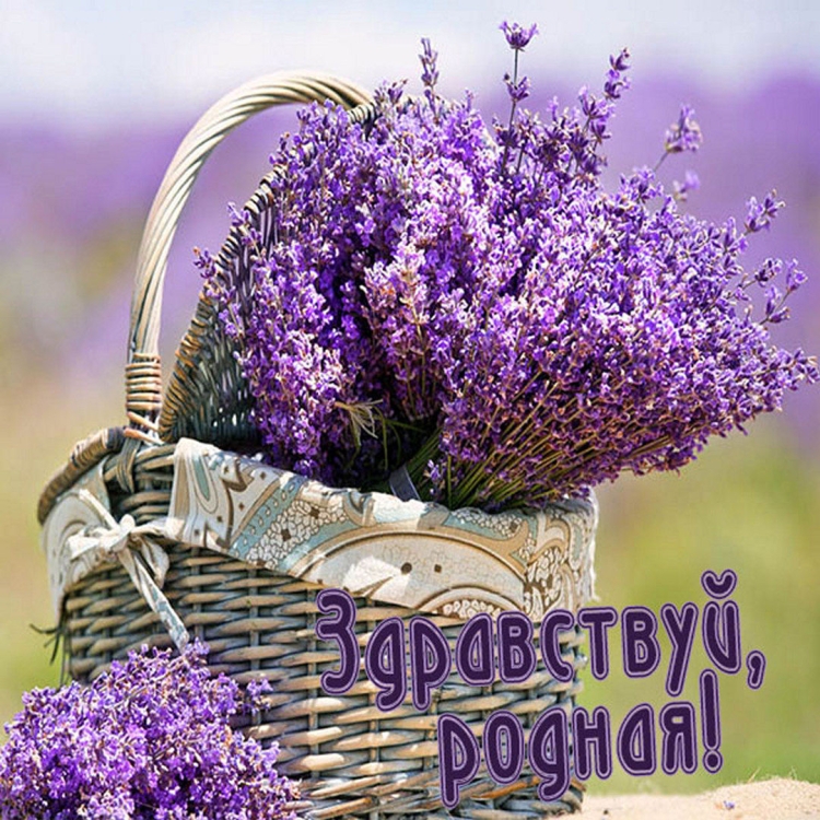 Семейного счастья и благополучия