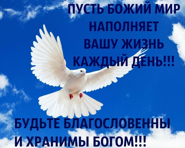 Доброе утро фиолетовые цветы