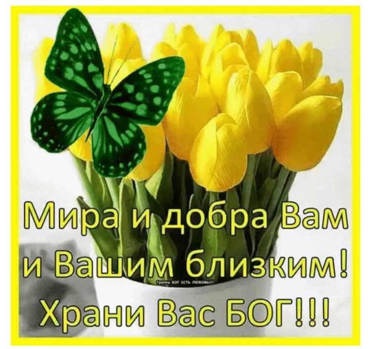 Открытки счастья вашему дому
