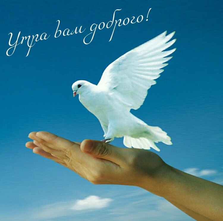 Пожелания счастья