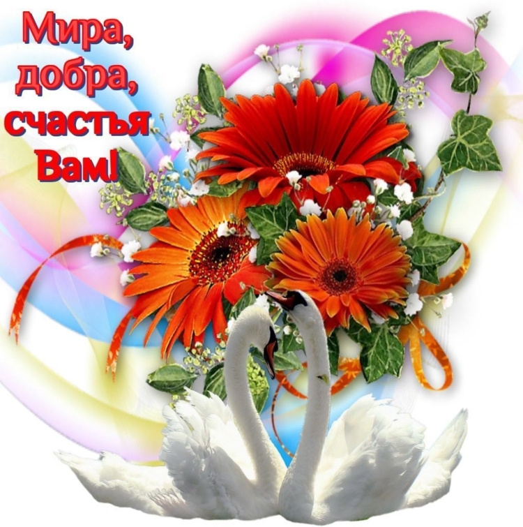 Пожелания мира и добра