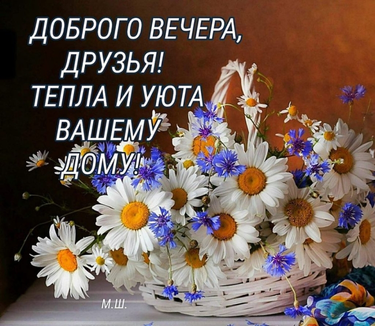 Белый голубь