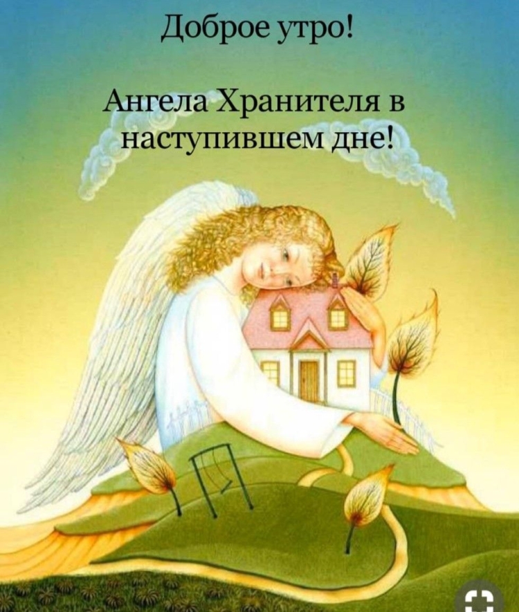Доброе утро с голубями