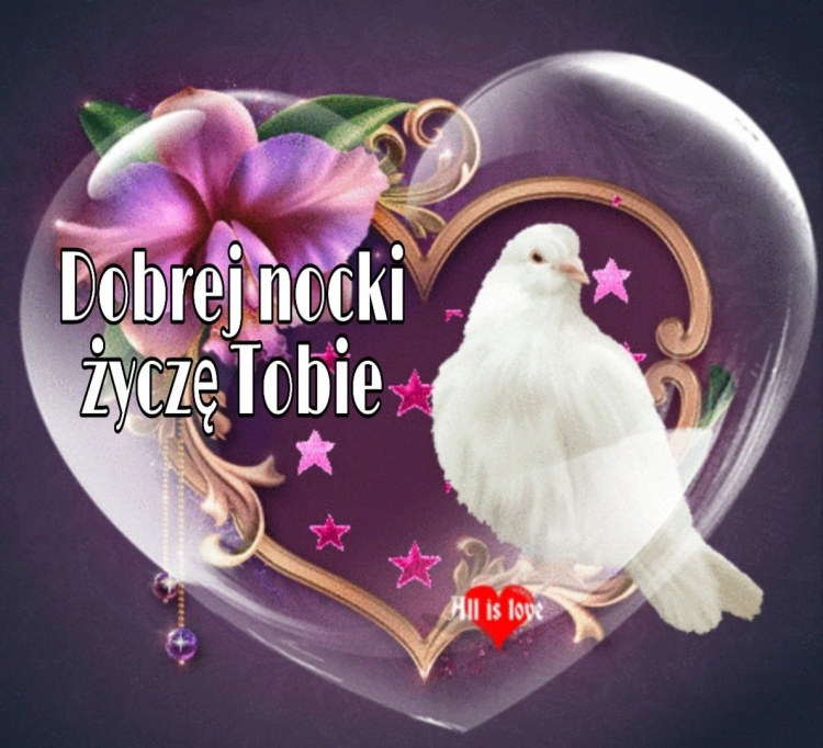 Белый голубь с розой