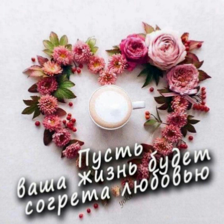 Голуби в небе