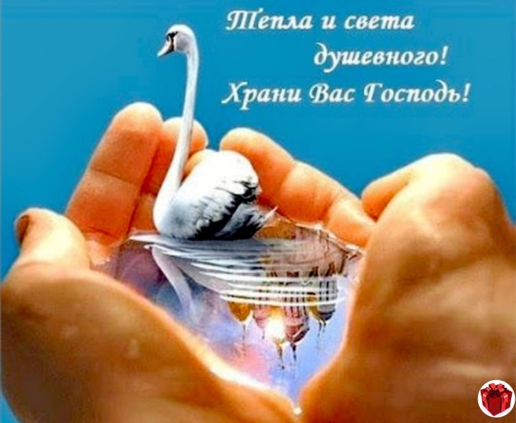 Голубь счастья