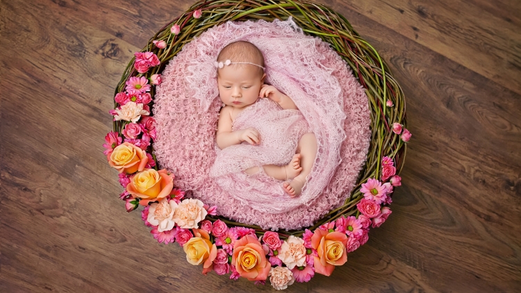 Малыш с розой
