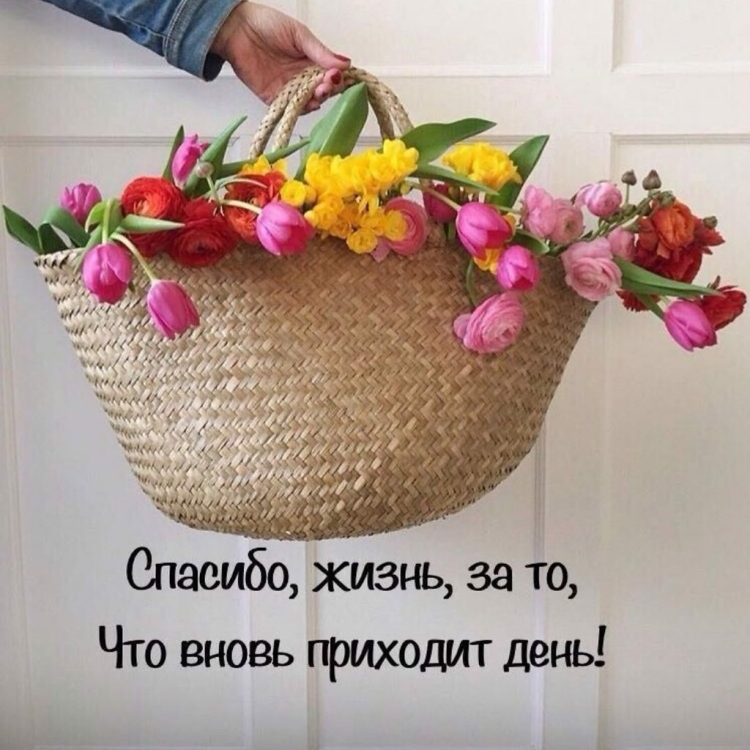 Милые валентинки