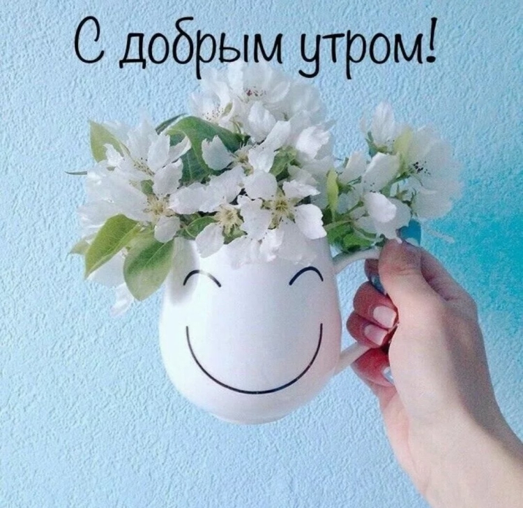 Милая открытка