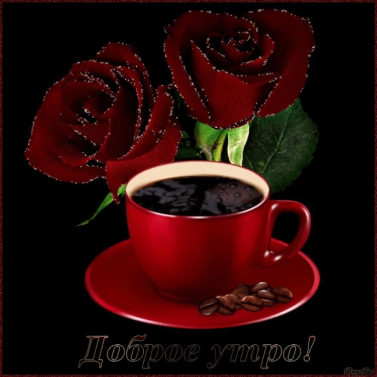 Волшебное утро