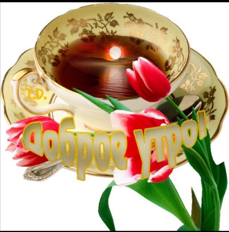 Счастье это когда у тебя есть утро и новый день