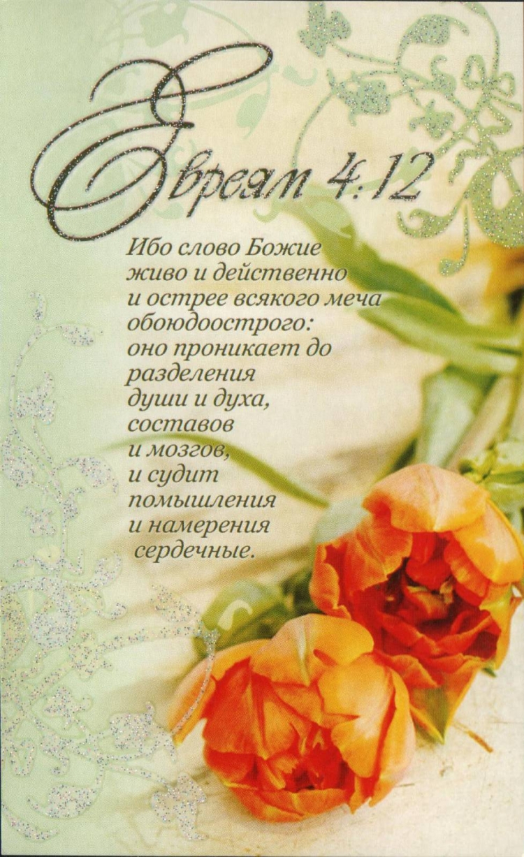 Христианские открытки с Цитатами из Библии