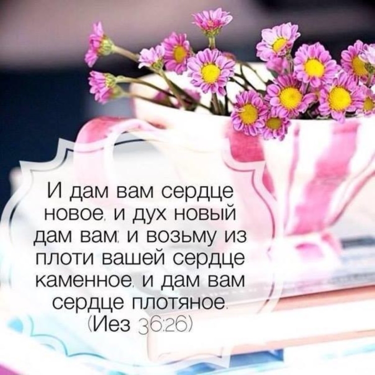 Стихи из псалмов