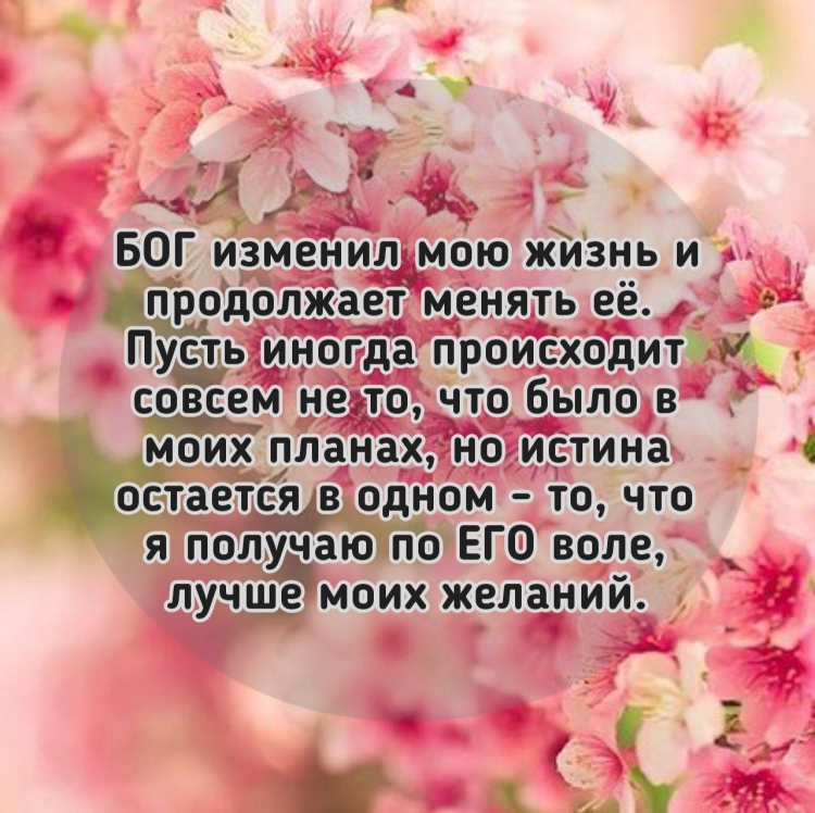 Библейские цитаты