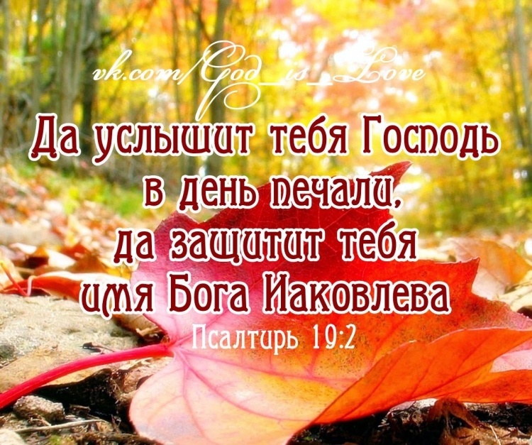 Стихи из Библии
