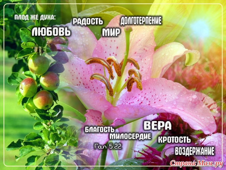 Открытки с библейскими пожеланиями