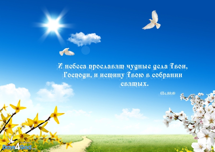 Цитаты из Библии о духе святом