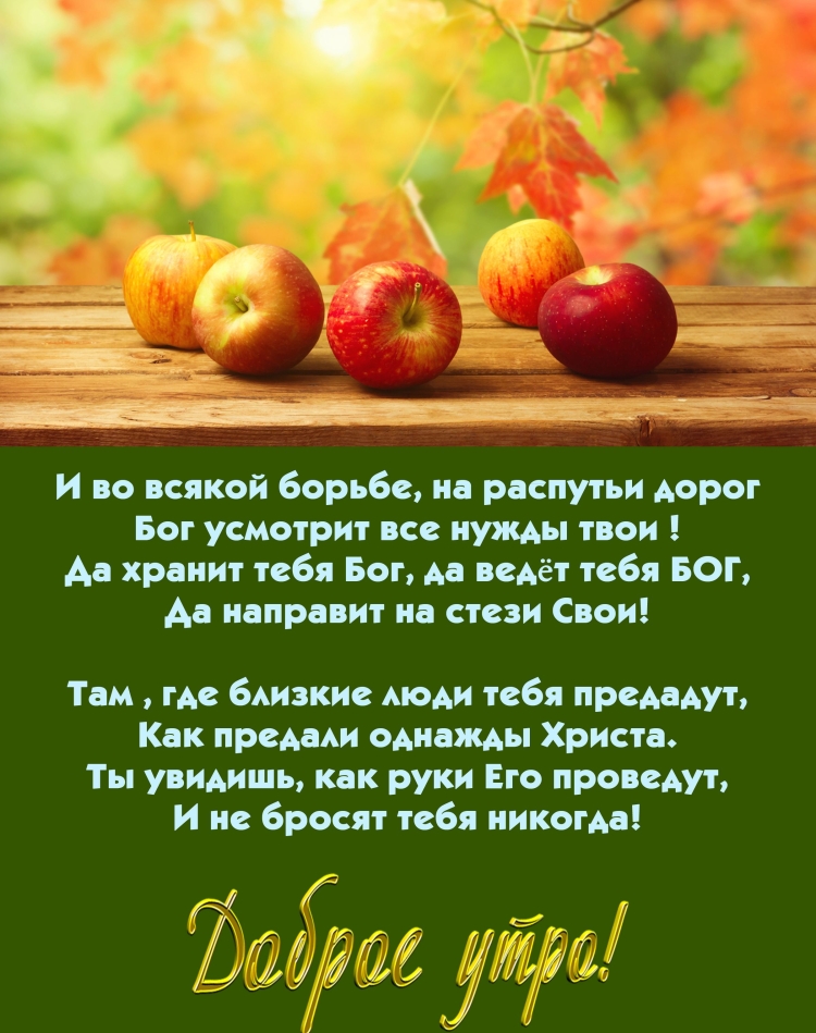 Открытки с Цитатами из Библии