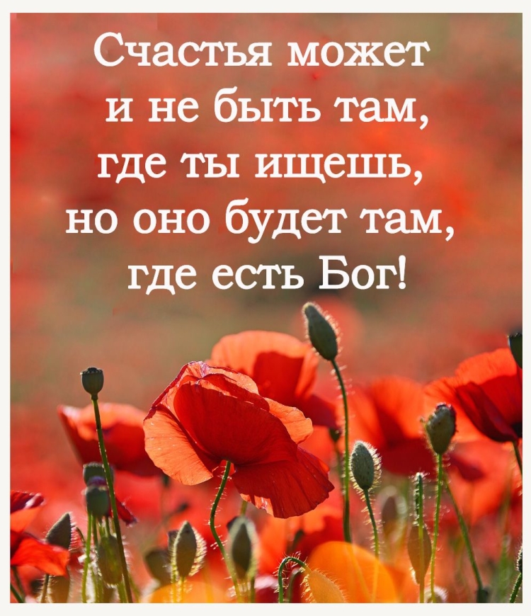 Цитаты из Библии о жизни