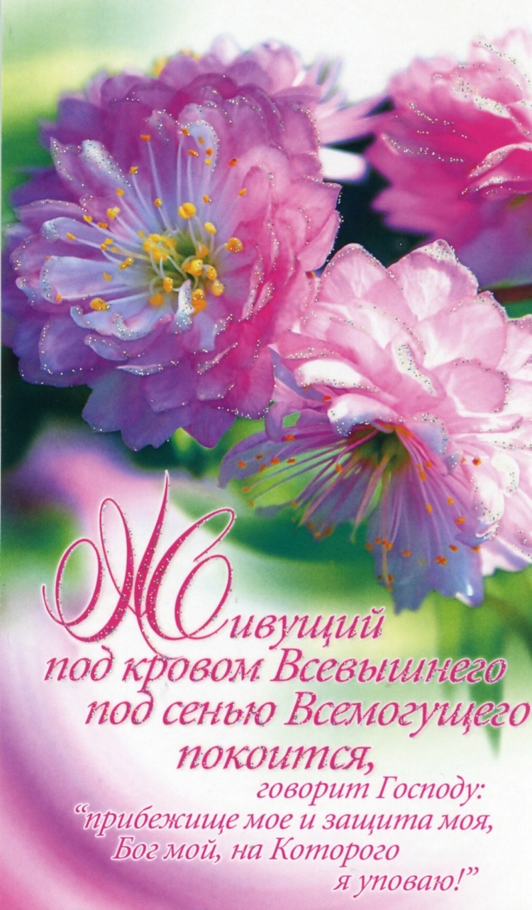 Открытки со стихами из Библии