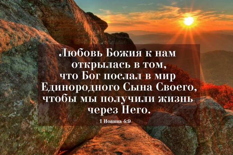 Библейские цитаты