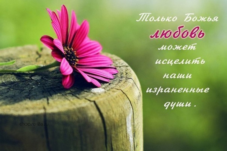 Цитаты из Библии
