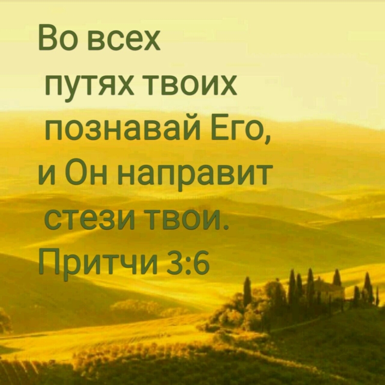 Красивые пейзажи с Цитатами