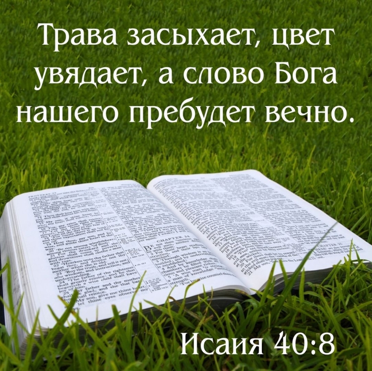 Стихи из Библии