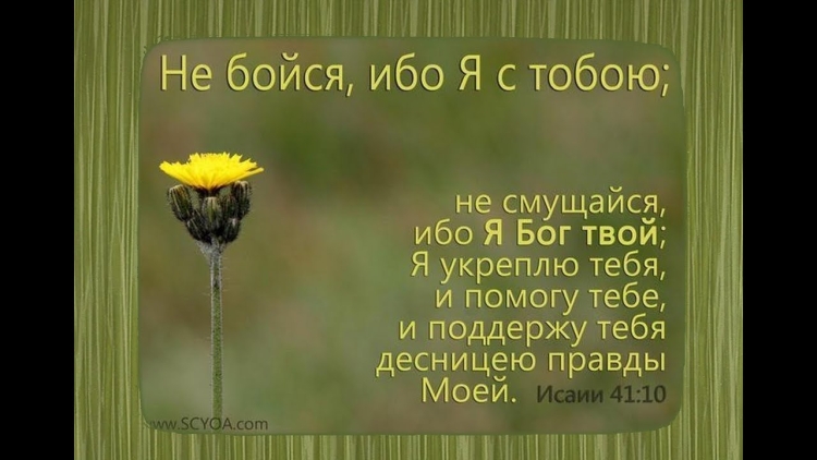 Библейские стихи на каждый
