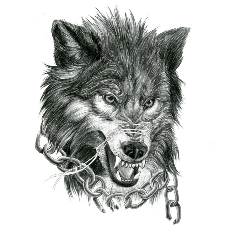 Оскаленный волк