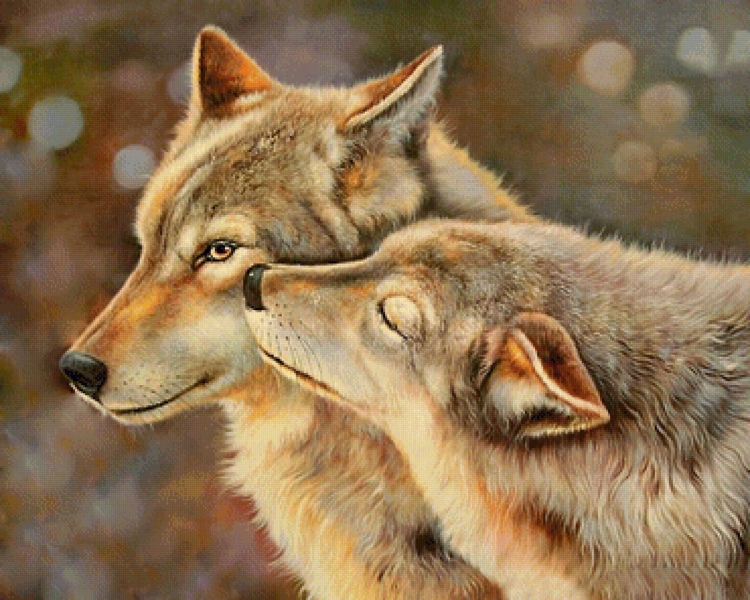 Влюбленные волки