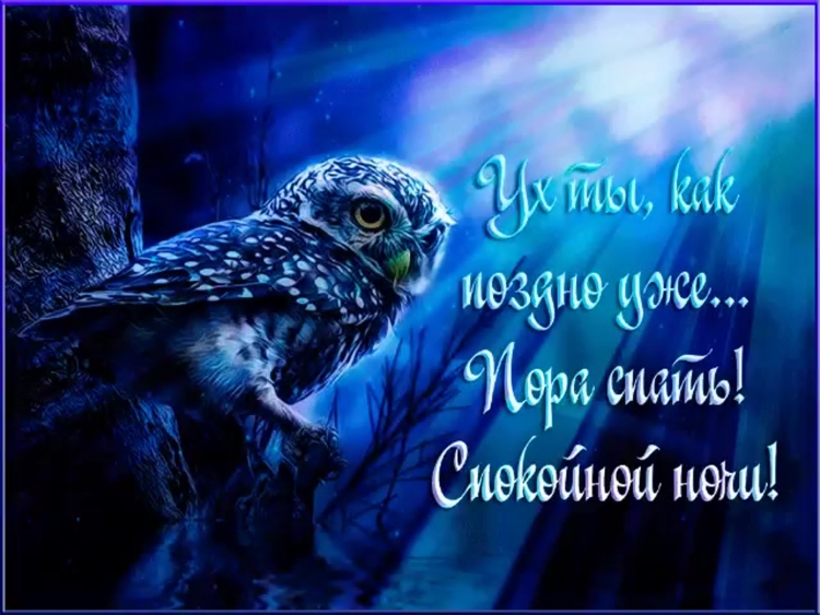 Спокойной ночи Сова