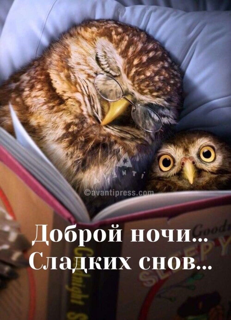 Good Night Design