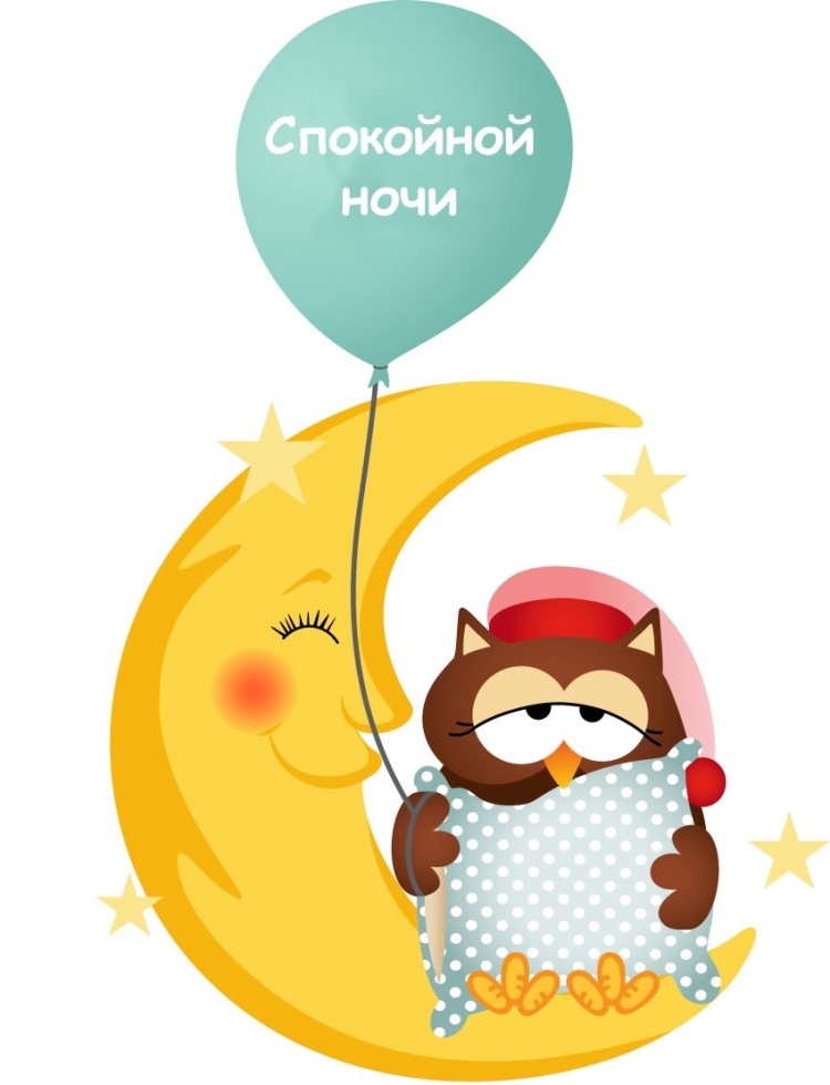 Сова ночью