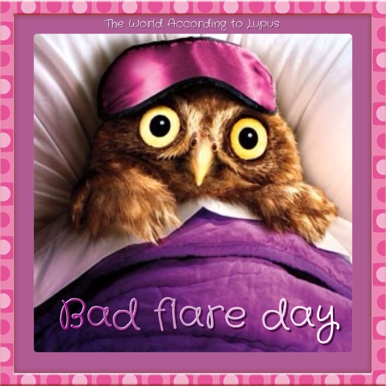 Owl tired Art