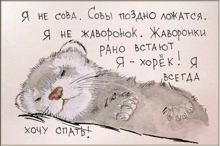 Совушка на месяце