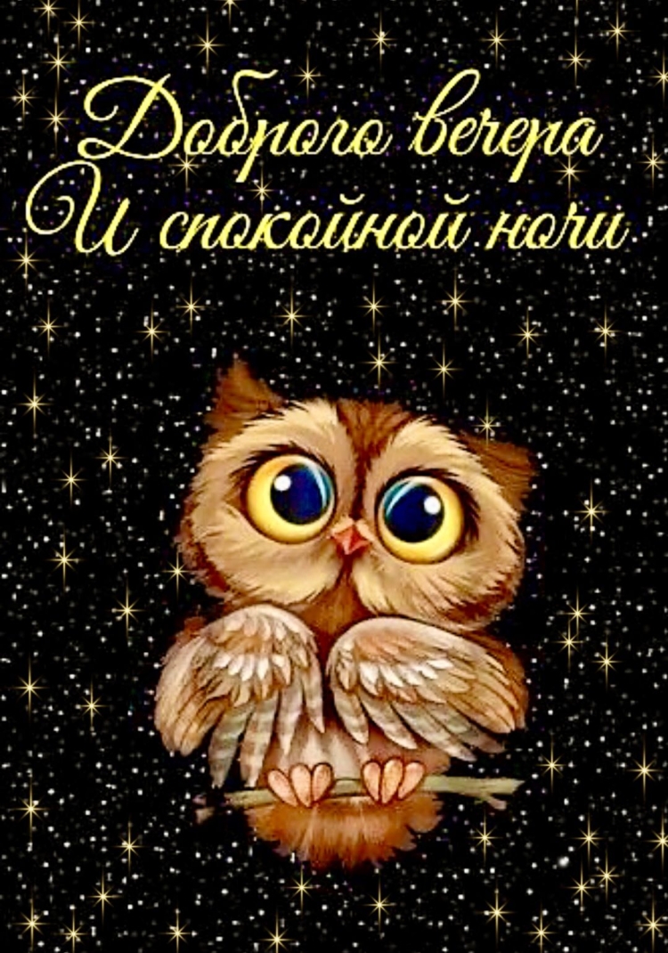 Красивая Сова
